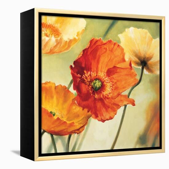 Champs de coquelicots II-Pierre Viollet-Framed Stretched Canvas