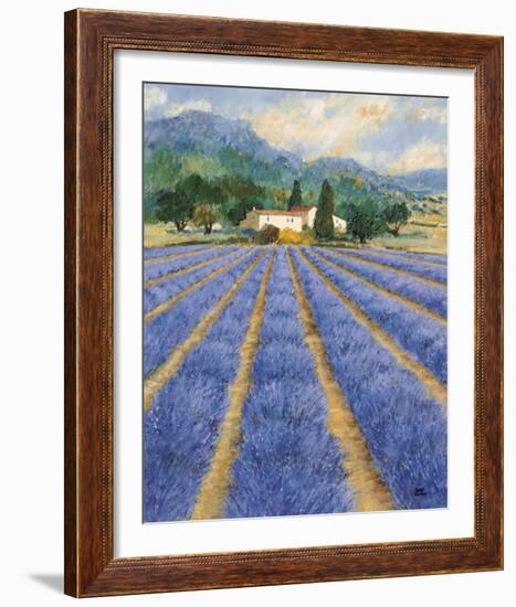 Champs De Lavande-Hazel Barker-Framed Giclee Print