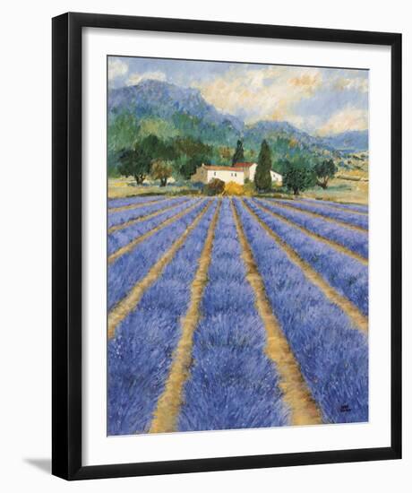 Champs De Lavande-Hazel Barker-Framed Giclee Print