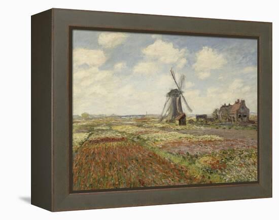 Champs de tulipes en Hollande-Claude Monet-Framed Premier Image Canvas