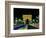 Champs Elysees and Arc de Triomphe, Paris, France-Bill Bachmann-Framed Photographic Print