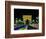 Champs Elysees and Arc de Triomphe, Paris, France-Bill Bachmann-Framed Photographic Print