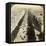 Champs Elysees from the Arc De Triomphe, Paris, France, 19th Century-Underwood & Underwood-Framed Premier Image Canvas