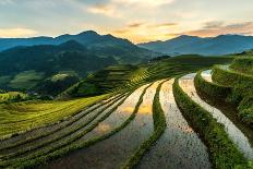 Rice Terraces at Mu Cang Chai, Vietnam-Chan Srithaweeporn-Framed Premier Image Canvas
