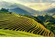 Rice Terraces at Mu Cang Chai, Vietnam-Chan Srithaweeporn-Mounted Photographic Print