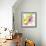 Chancay II-Sandra Jacobs-Framed Giclee Print displayed on a wall