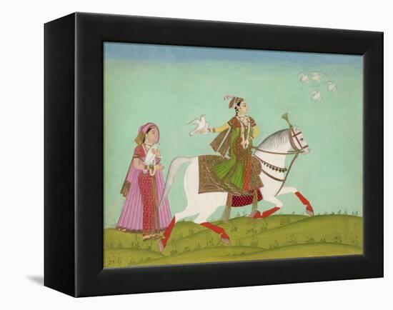 Chand Bibi Hawking-null-Framed Premier Image Canvas