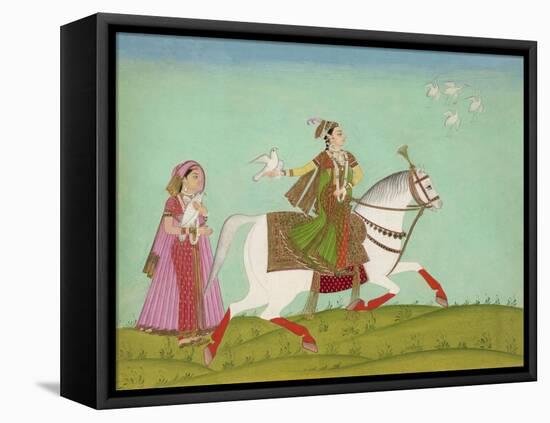 Chand Bibi Hawking-null-Framed Premier Image Canvas