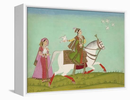 Chand Bibi Hawking-null-Framed Premier Image Canvas