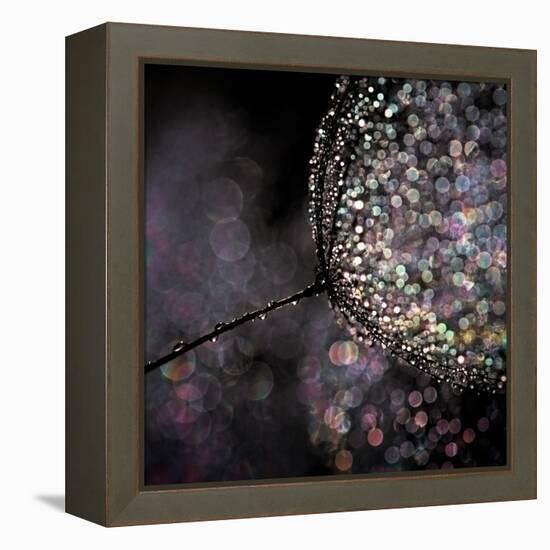 Chandelier-Ursula Abresch-Framed Premier Image Canvas