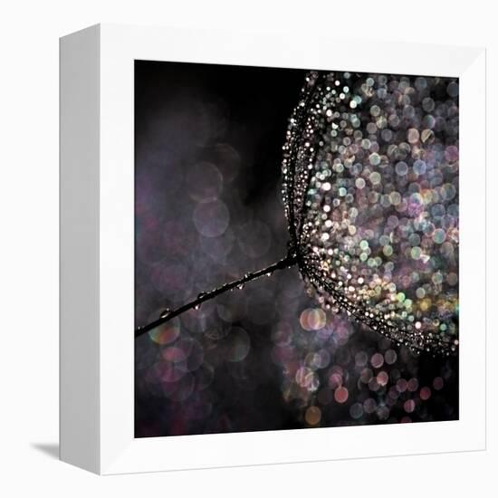 Chandelier-Ursula Abresch-Framed Premier Image Canvas