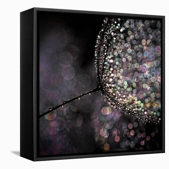 Chandelier-Ursula Abresch-Framed Premier Image Canvas