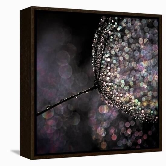 Chandelier-Ursula Abresch-Framed Premier Image Canvas