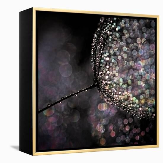 Chandelier-Ursula Abresch-Framed Premier Image Canvas