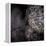 Chandelier-Ursula Abresch-Framed Premier Image Canvas