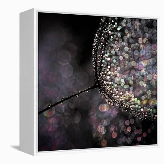 Chandelier-Ursula Abresch-Framed Premier Image Canvas