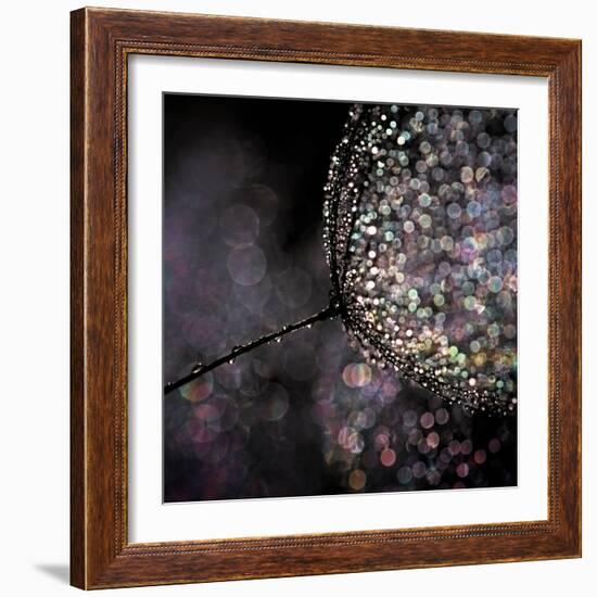 Chandelier-Ursula Abresch-Framed Premium Photographic Print