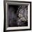 Chandelier-Ursula Abresch-Framed Premium Photographic Print