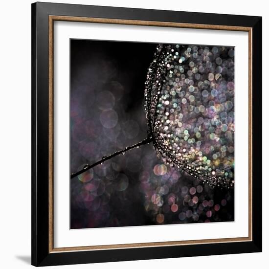 Chandelier-Ursula Abresch-Framed Premium Photographic Print