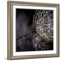 Chandelier-Ursula Abresch-Framed Photographic Print