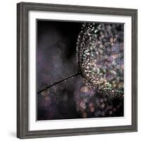 Chandelier-Ursula Abresch-Framed Photographic Print