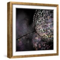 Chandelier-Ursula Abresch-Framed Photographic Print