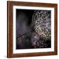 Chandelier-Ursula Abresch-Framed Photographic Print