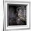 Chandelier-Ursula Abresch-Framed Photographic Print