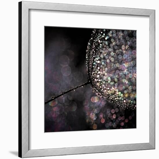 Chandelier-Ursula Abresch-Framed Photographic Print