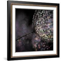 Chandelier-Ursula Abresch-Framed Photographic Print