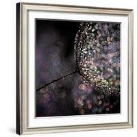 Chandelier-Ursula Abresch-Framed Photographic Print