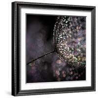 Chandelier-Ursula Abresch-Framed Photographic Print