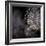 Chandelier-Ursula Abresch-Framed Photographic Print