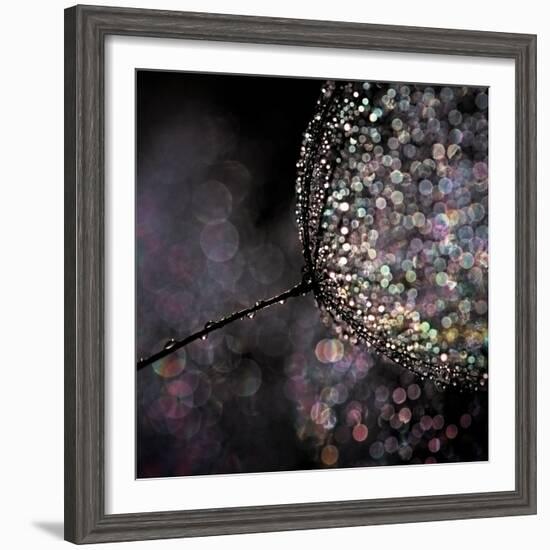 Chandelier-Ursula Abresch-Framed Photographic Print