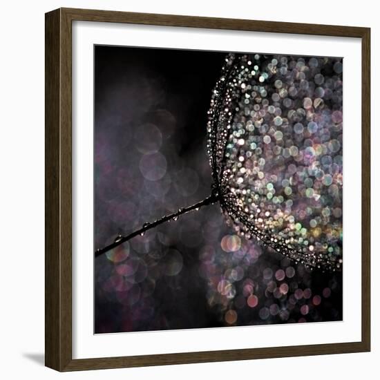 Chandelier-Ursula Abresch-Framed Photographic Print