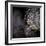 Chandelier-Ursula Abresch-Framed Photographic Print