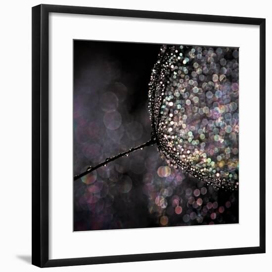 Chandelier-Ursula Abresch-Framed Photographic Print