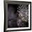 Chandelier-Ursula Abresch-Framed Photographic Print