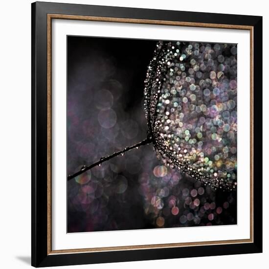 Chandelier-Ursula Abresch-Framed Photographic Print