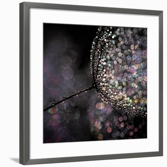 Chandelier-Ursula Abresch-Framed Photographic Print