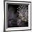 Chandelier-Ursula Abresch-Framed Photographic Print