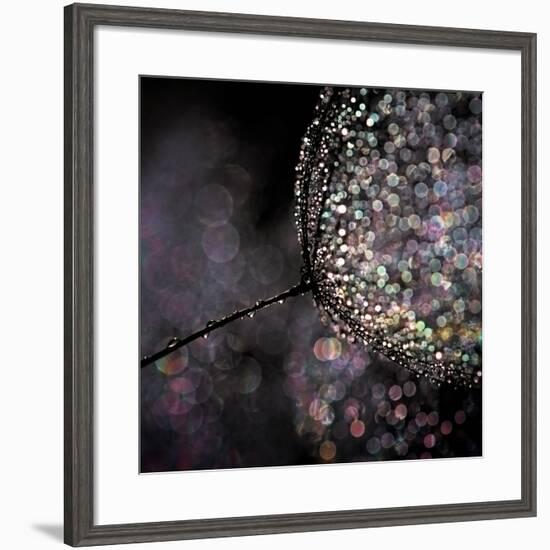 Chandelier-Ursula Abresch-Framed Photographic Print