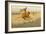 Change of Ownership (The Stampede: Horse Thieves) 1903 (Oil on Canvas)-Frederic Remington-Framed Giclee Print