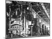 Photographic Print