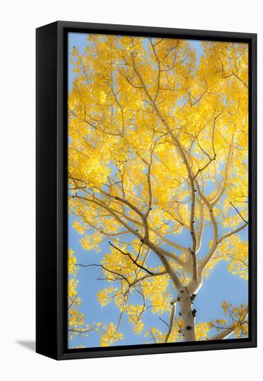 Change-Dan Ballard-Framed Premier Image Canvas