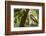 changeable hawk-eagle perched on branch, nepal-karine aigner-Framed Photographic Print