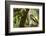 changeable hawk-eagle perched on branch, nepal-karine aigner-Framed Photographic Print