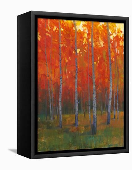 Changing Colors II-Tim O'toole-Framed Stretched Canvas