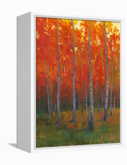 Changing Colors II-Tim O'toole-Framed Stretched Canvas
