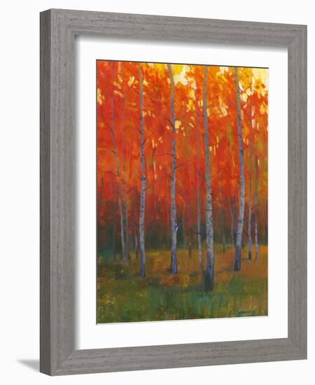 Changing Colors II-Tim O'toole-Framed Art Print